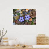 鳥の足スミレが岩のポスターを通って上昇 ポスター (キッチン)