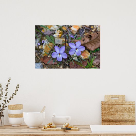 鳥の足スミレが岩のポスターを通って上昇 ポスター (キッチン)