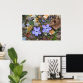 鳥の足スミレが岩のポスターを通って上昇 ポスター (ホームオフィス)