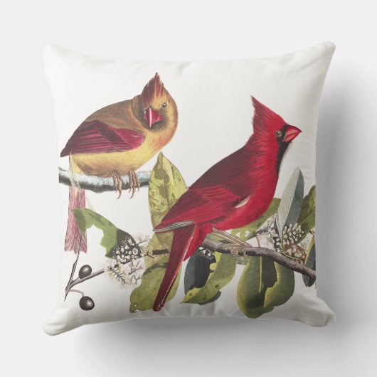 鳥の野性生物のAudubonの赤く基本的な装飾用クッション クッション (裏面)