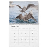 鳥の野生生物写真2026 カレンダー (1月 2027)