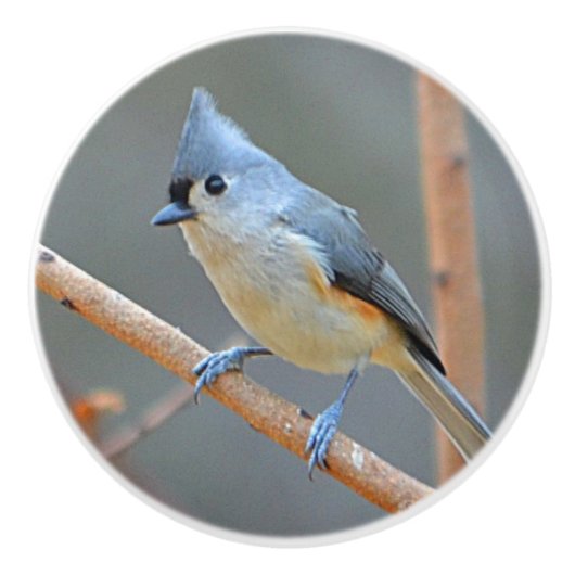 鳥の陶磁器のノブ セラミックノブ (正面)