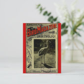 『鳥の雑誌』 1903年7月3日号 ポストカード (スタンド正面)