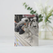 鳥の骨格装飾 ポストカード (スタンド正面)