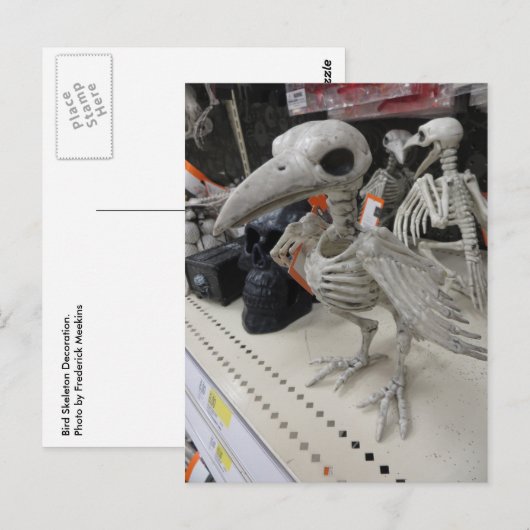 鳥の骨格装飾 ポストカード (正面/裏面)