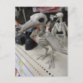 鳥の骨格装飾 ポストカード (正面)