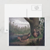 鳥の鳴き鳥の絵画鳴き ポストカード (正面/裏面)