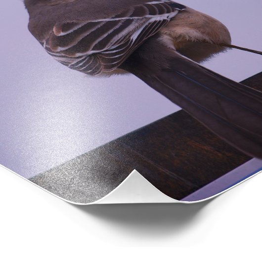 鳥の鳴き鳥 フォトプリント            (角)