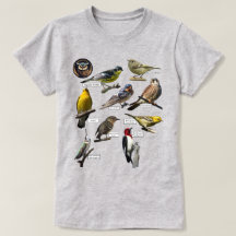 鳥のTシャツ