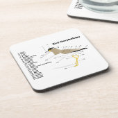 鳥のVanellus Malabaricusの外的な形態 コースター (左側)