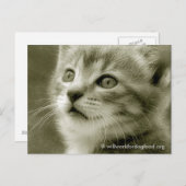 鳥はがきを見るムーザー ポストカード (正面/裏面)