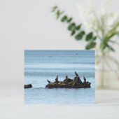 鳥はがき ポストカード (スタンド正面)