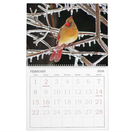 鳥は大きい数とカレンダーに記録します カレンダー (2月 2026)