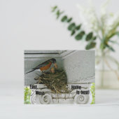 鳥は家の周りの引用文と巣。 ポストカード (スタンド正面)