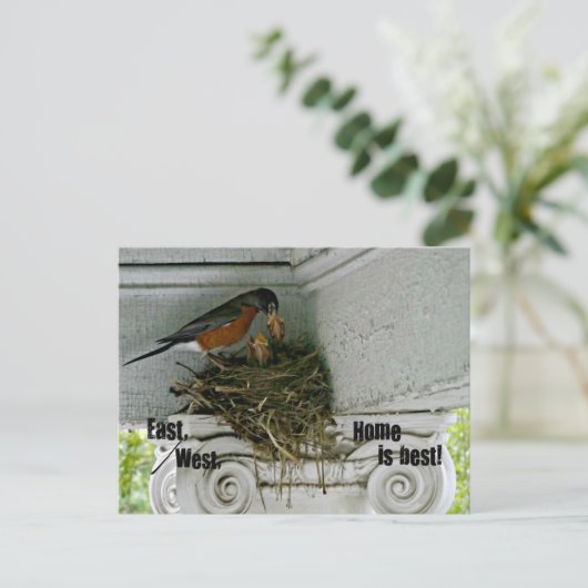 鳥は家の周りの引用文と巣。 ポストカード (スタンド正面)