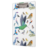 鳥は美しい動物だ クリップボード (左)