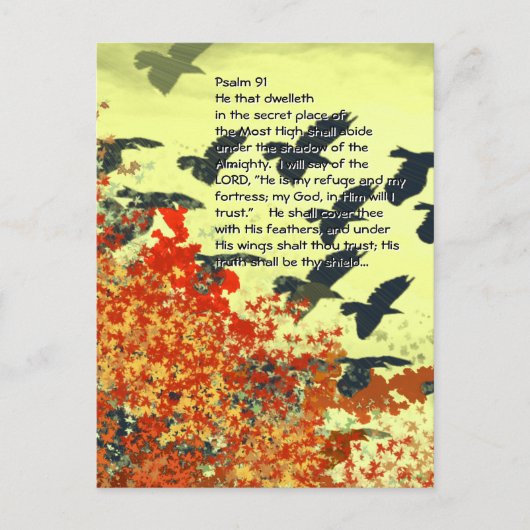 鳥は羽であなたを覆う。 ポストカード (正面)