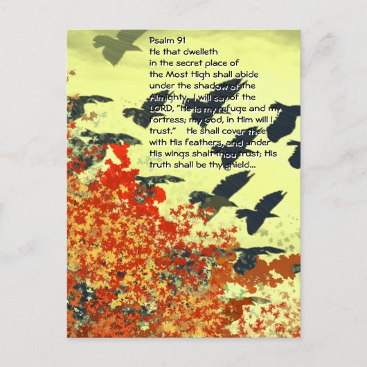 鳥は羽であなたを覆う。 ポストカード (正面)