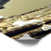 鳥は羽の付いた唯一の動物である ポスター (角)