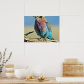 鳥は羽の付いた唯一の動物である ポスター (キッチン)