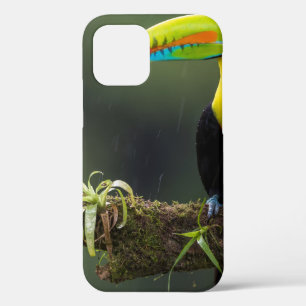 鳥は羽を持つ唯一の動物である2 iPhone 12ケース
