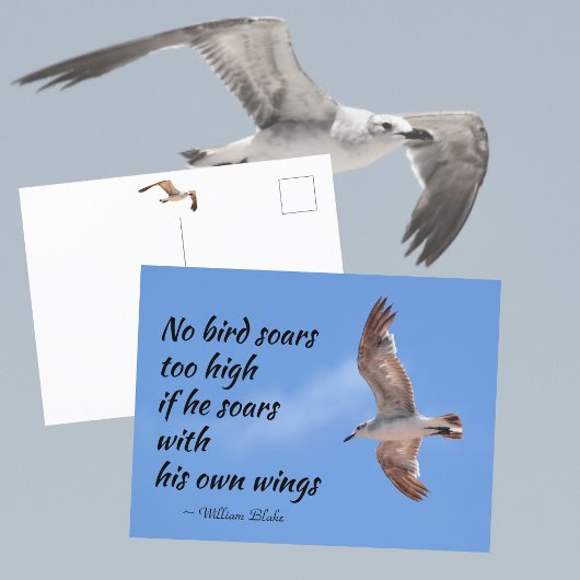 鳥は高く飛べる Quote カモメの飛行 ポストカード