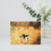 鳥を口に入れた猫 ポストカード (スタンド正面)