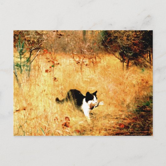 鳥を口に入れた猫 ポストカード (正面)