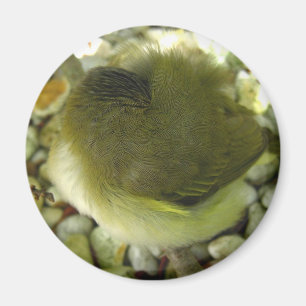 鳥を寄り添うこと マグネット