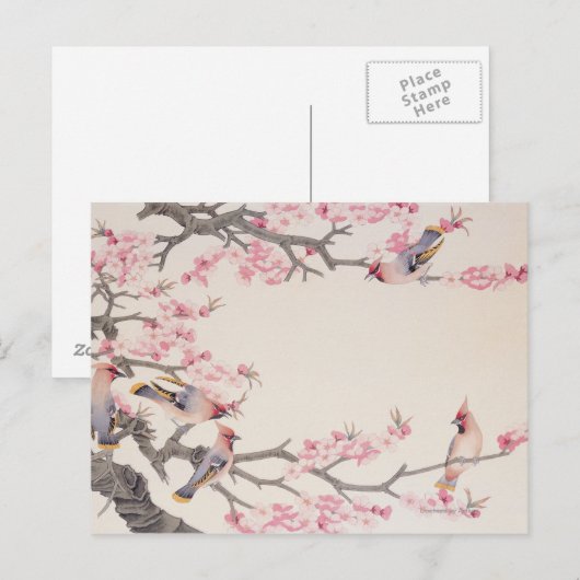 鳥を歌う春 ポストカード (正面/裏面)