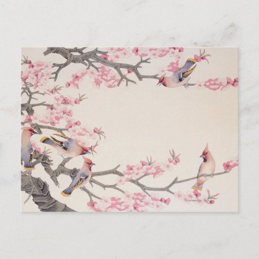鳥を歌う春 ポストカード (正面)