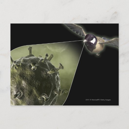 鳥インフルエンザが鳥から出てくる ポストカード (正面)