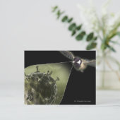 鳥インフルエンザが鳥から出てくる ポストカード (スタンド正面)