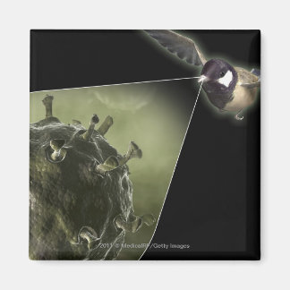 鳥インフル来ンの鳥が飛び出した マグネット