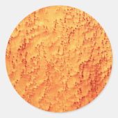 鳥エレガントの目カエデ木目のパターン ラウンドシール (正面)