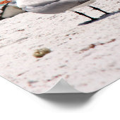 鳥オンビーチ ポスター (角)