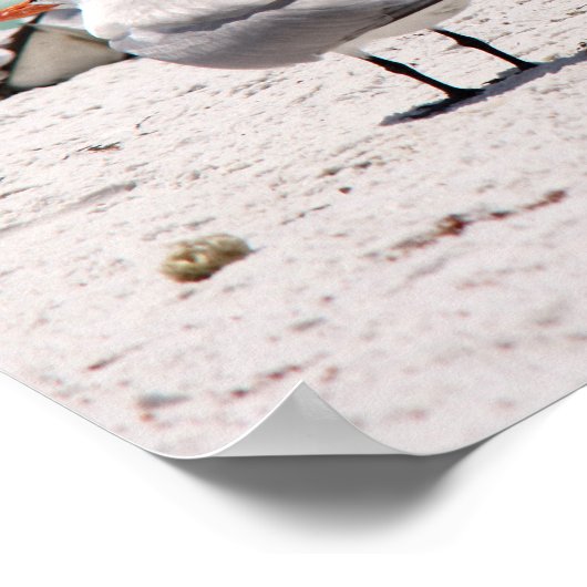 鳥オンビーチ ポスター (角)