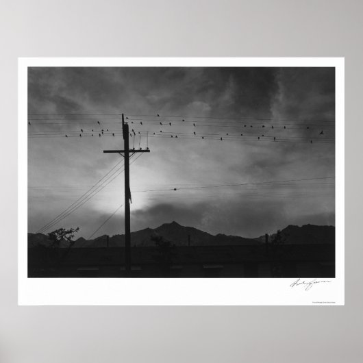 鳥オンワイヤ， 1943夕べ ポスター (正面)