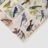 鳥カラフルティッシュペーパー 薄葉紙 (詳細)