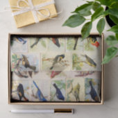 鳥カラフルティッシュペーパー 薄葉紙 (ギフト)