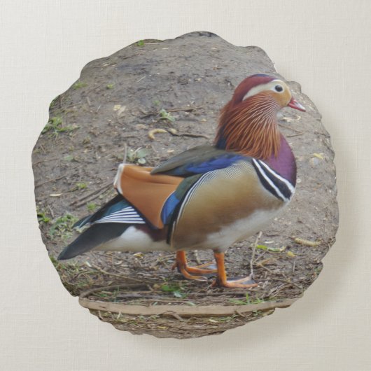 鳥カラフル円枕 ラウンドクッション (裏面)