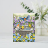 鳥カラフル浴花園 ポストカード (スタンド正面)