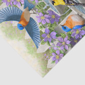 鳥カラフル浴花園 薄葉紙 (詳細)