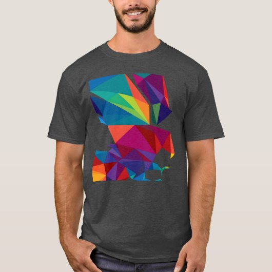 鳥カラフル贈り物 Tシャツ (正面)