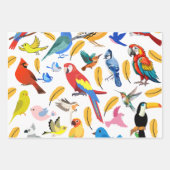 鳥カラフル類 ラッピングペーパーシート (正面)