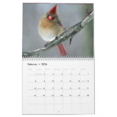 鳥カレンダー2020 カレンダー (2月 2026)