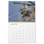 鳥カレンダー2026 カレンダー (1月 2027)