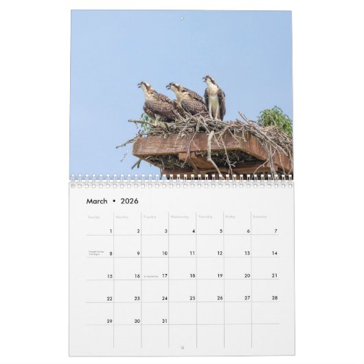 鳥カレンダー2026 カレンダー (3月 2026)