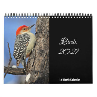 鳥カレンダー 2027年 カレンダー