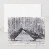 鳥キスをする類 ポストカード (正面/裏面)